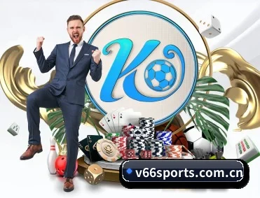 V66体育 APP